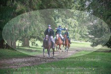ref. photo 3356106