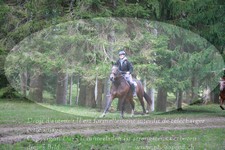 ref. photo 3356110