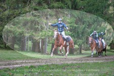 ref. photo 3356112