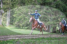 ref. photo 3356113