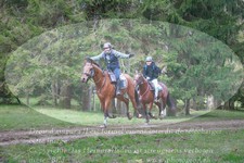 ref. photo 3356114