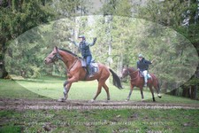 ref. photo 3356116