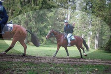 ref. photo 3356117