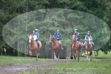 ref. photo 3356125