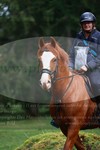 ref. photo 3356137