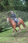 ref. photo 3356160