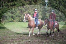 ref. photo 3356226
