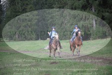 ref. photo 3356236