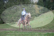 ref. photo 3356239