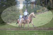 ref. photo 3356240