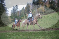 ref. photo 3356241