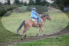 ref. photo 3356245