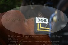 ref. photo 3356269