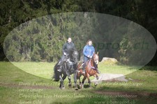 ref. photo 3356274