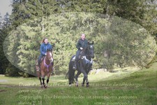 ref. photo 3356281