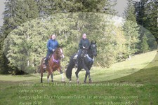 ref. photo 3356282