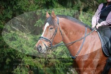 ref. photo 3356299