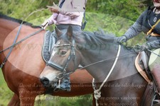 ref. photo 3356303