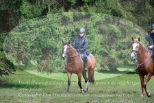 ref. photo 3356326