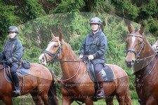 ref. photo 3356331