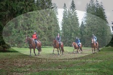ref. photo 3356334