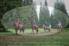 ref. photo 3356335