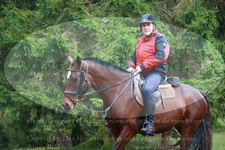 ref. photo 3356336