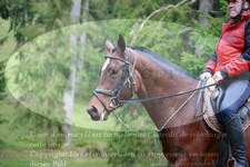 ref. photo 3356338