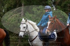 ref. photo 3356346