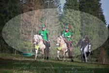 ref. photo 3356356