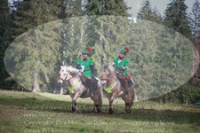 ref. photo 3356357