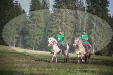 ref. photo 3356358