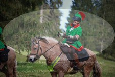 ref. photo 3356364