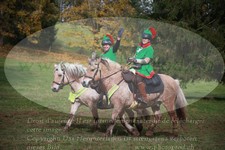 ref. photo 3356369
