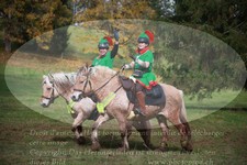 ref. photo 3356370
