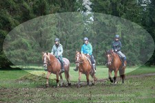 ref. photo 3356378