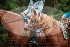 ref. photo 3356384