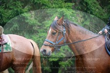 ref. photo 3356386