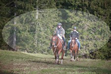 ref. photo 3356394