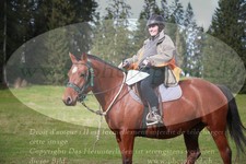 ref. photo 3356404