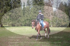 ref. photo 3356405