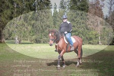 ref. photo 3356406