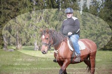 ref. photo 3356407