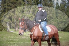 ref. photo 3356408