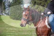 ref. photo 3356409