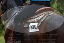 ref. photo 3356426