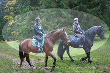 ref. photo 3356440