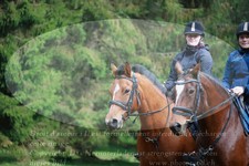 ref. photo 3356465