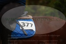 ref. photo 3356467