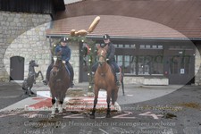 ref. photo 3356468